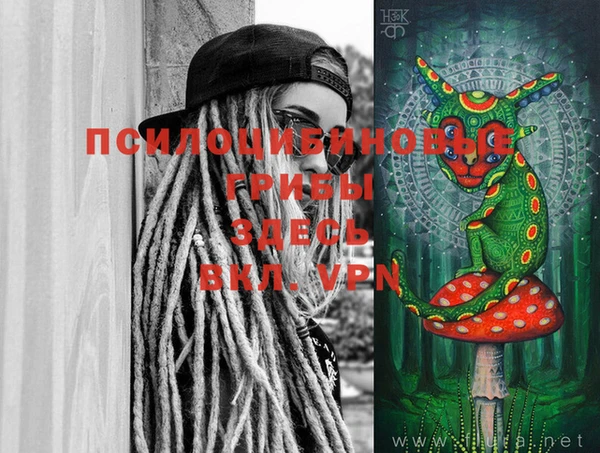 дмт Новосибирск