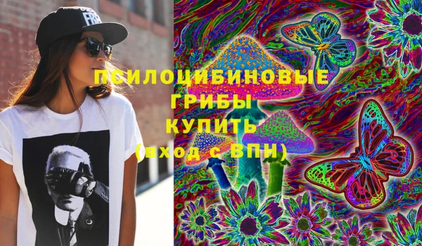 Альфа ПВП Ессентукская